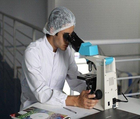 Sự phát triển của cần gạt nước